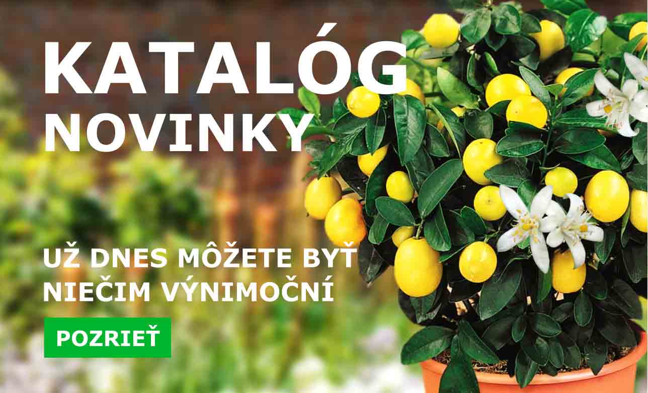 Nový katalóg rastlín a noviniek zelený kuriér. Už dnes môžete byt niečim výnimoční.